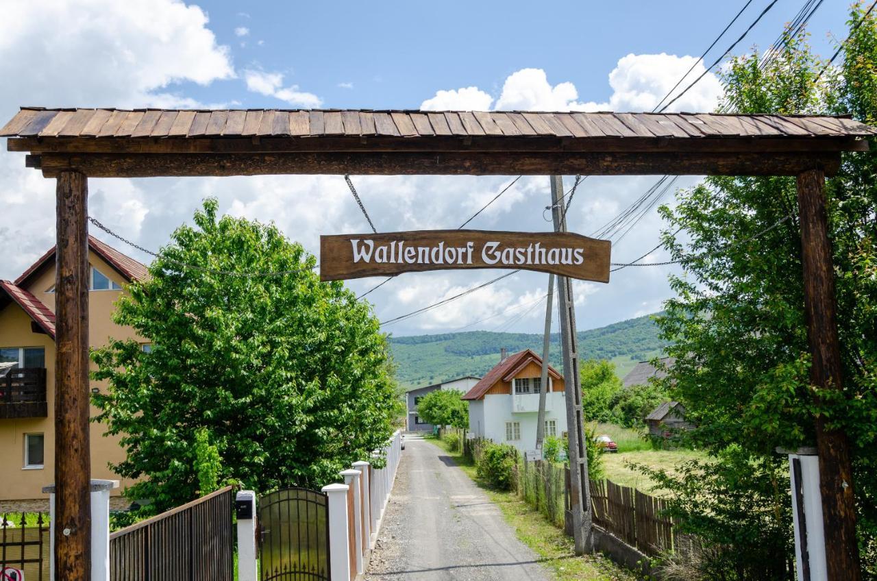 Casa De Oaspeti Wallendorf Bistrita Unirea 外观 照片
