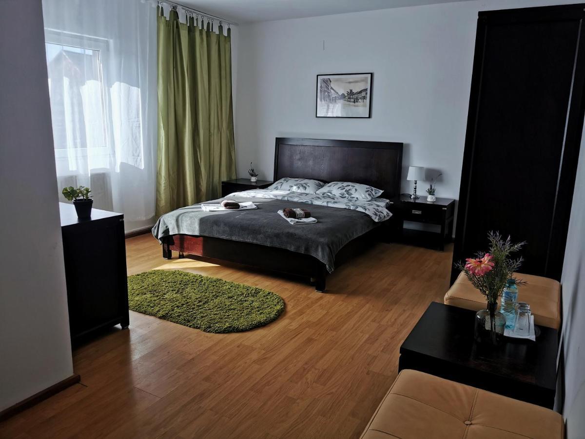 Casa De Oaspeti Wallendorf Bistrita Unirea 外观 照片