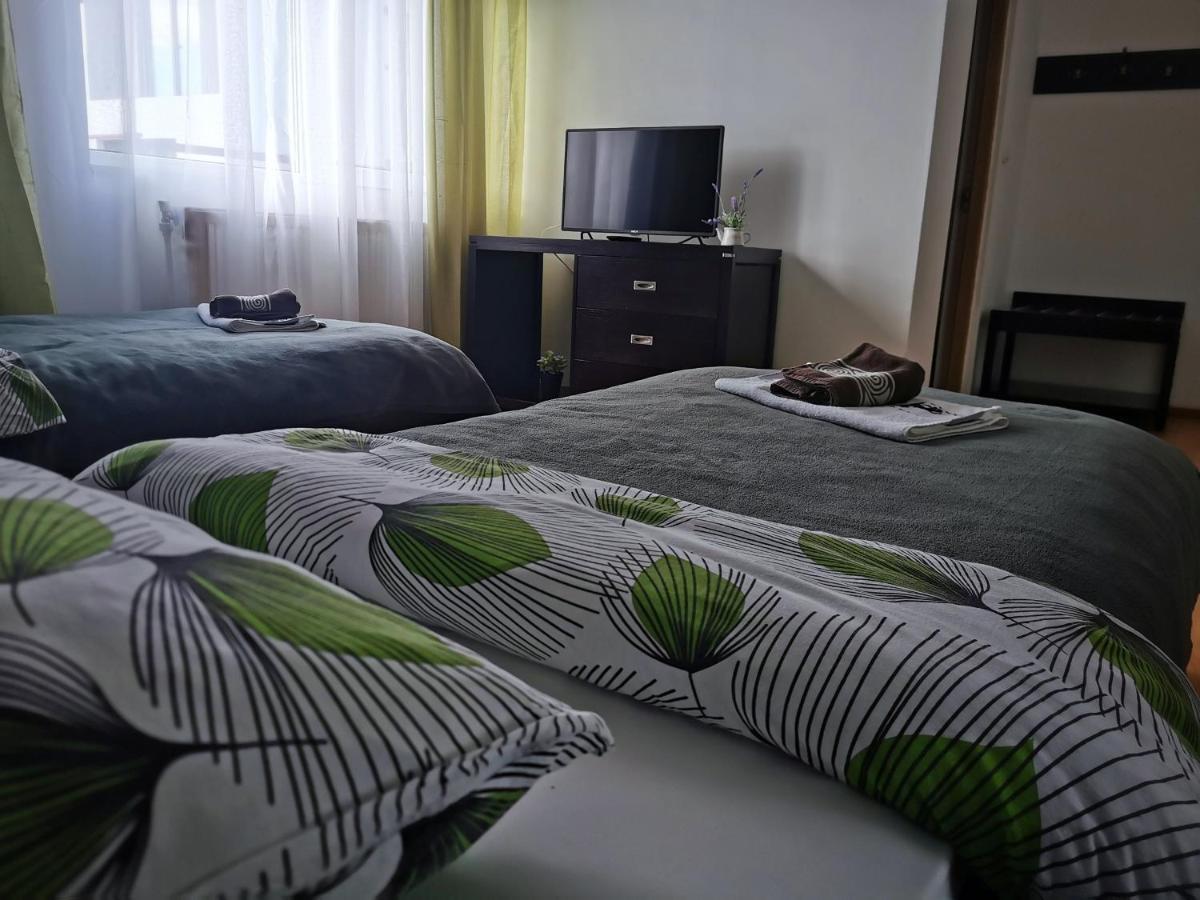 Casa De Oaspeti Wallendorf Bistrita Unirea 外观 照片