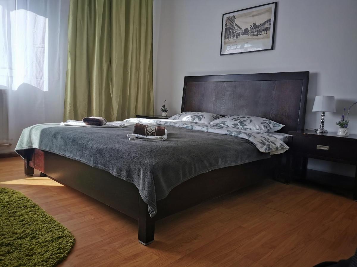 Casa De Oaspeti Wallendorf Bistrita Unirea 外观 照片