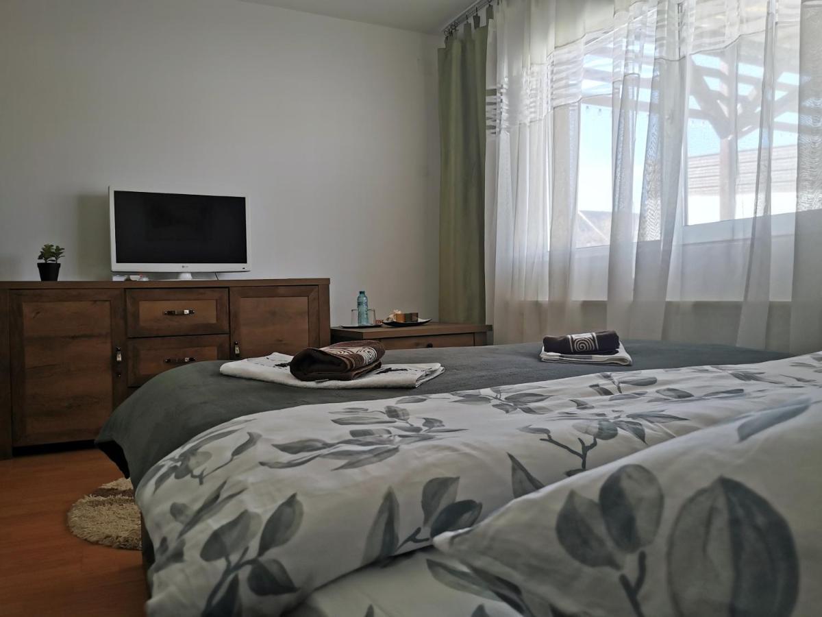 Casa De Oaspeti Wallendorf Bistrita Unirea 外观 照片
