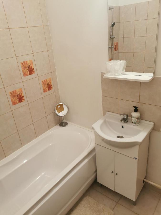 Casa De Oaspeti Wallendorf Bistrita Unirea 外观 照片