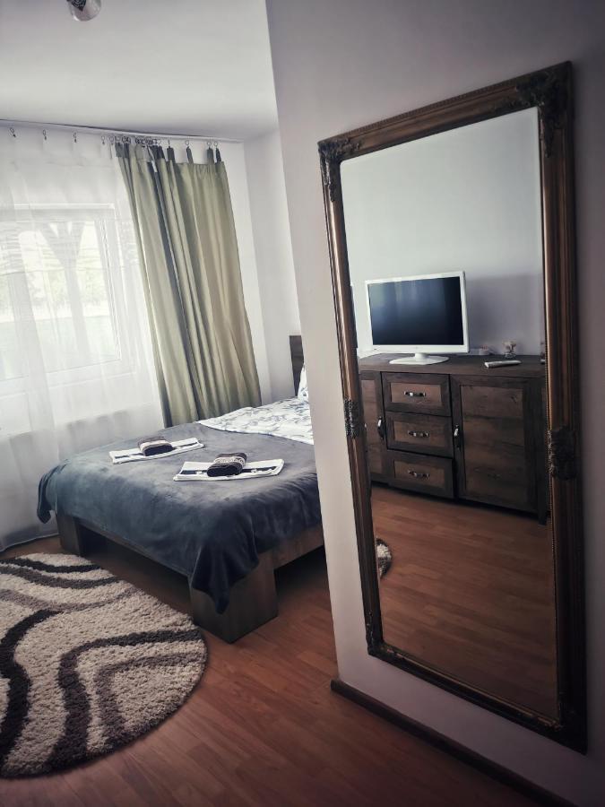 Casa De Oaspeti Wallendorf Bistrita Unirea 外观 照片