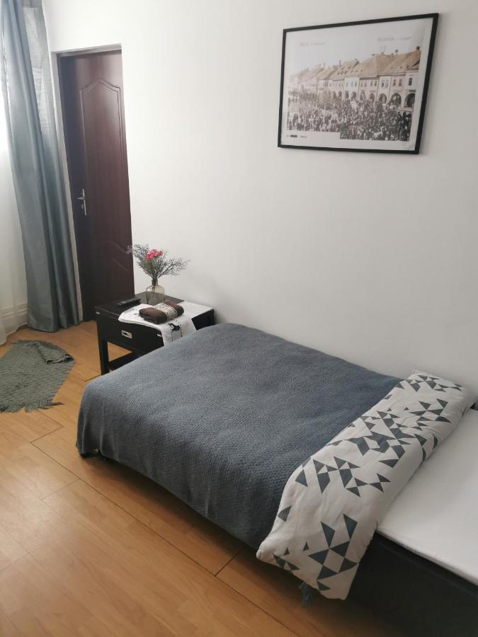 Casa De Oaspeti Wallendorf Bistrita Unirea 外观 照片
