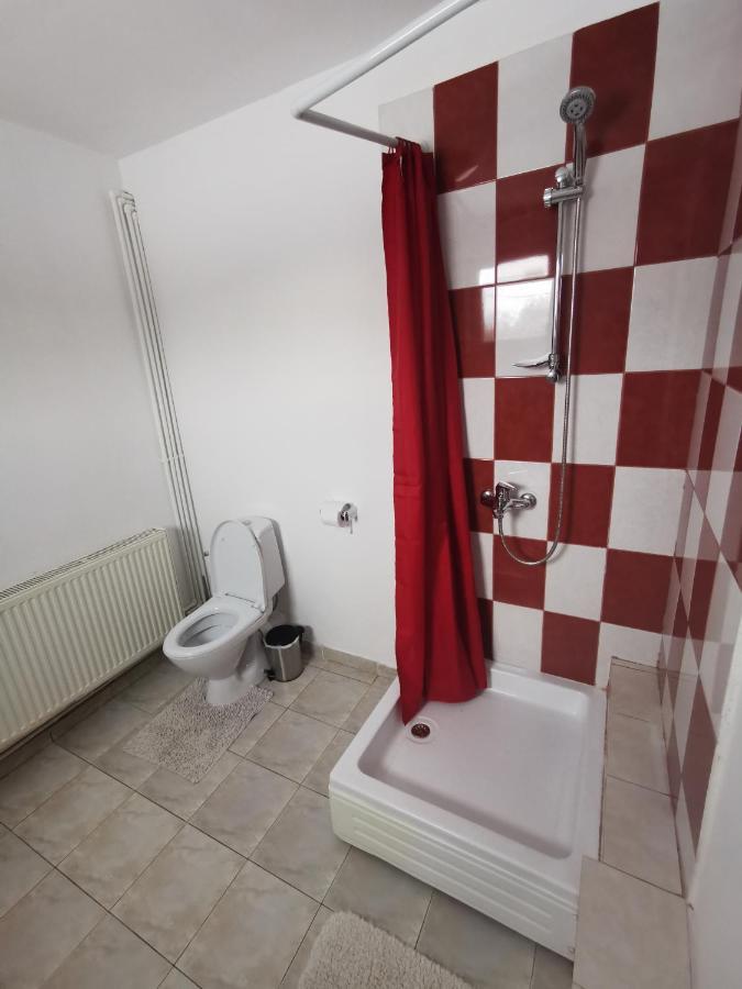 Casa De Oaspeti Wallendorf Bistrita Unirea 外观 照片