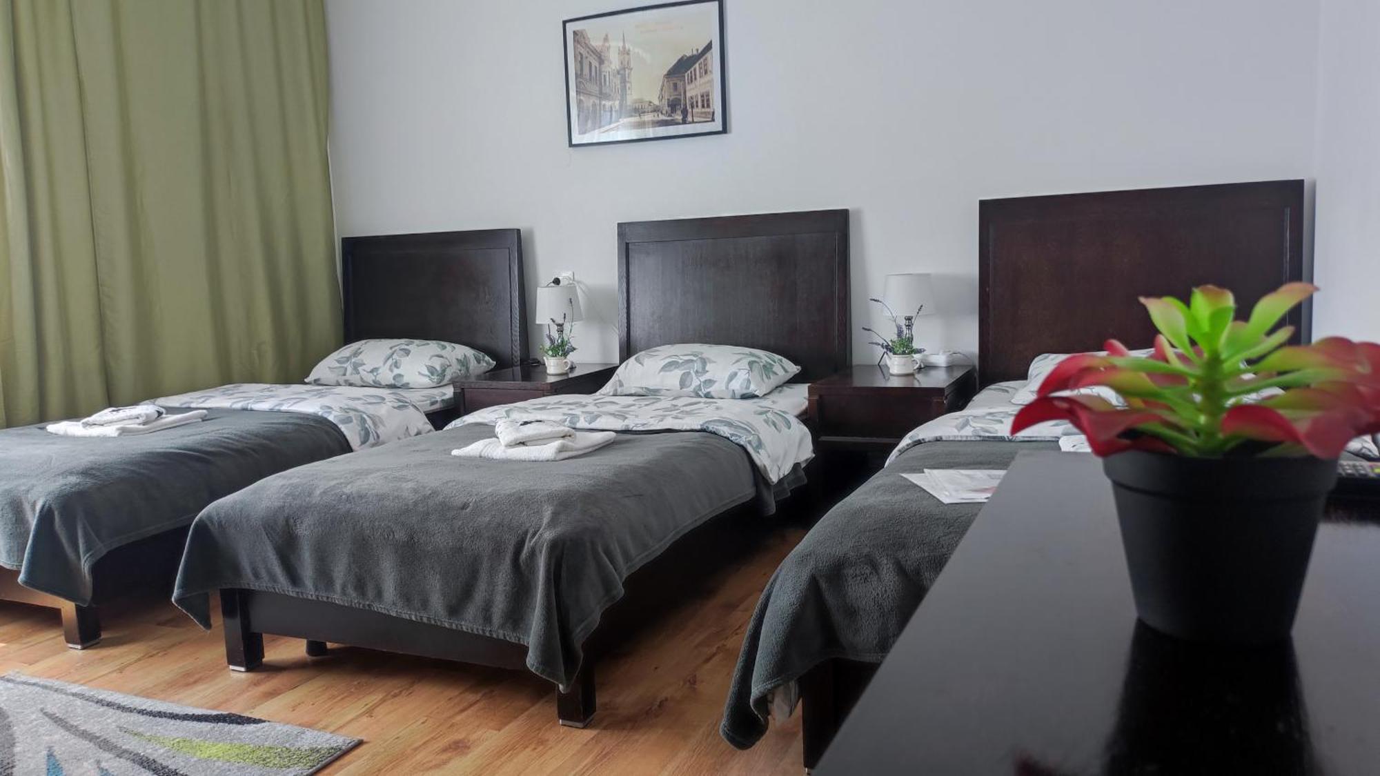 Casa De Oaspeti Wallendorf Bistrita Unirea 客房 照片